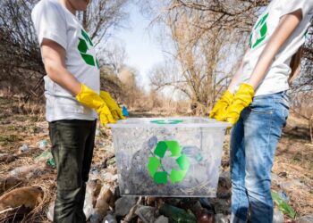 Environmental Impact of Responsible Skip Hire Waste Disposal
